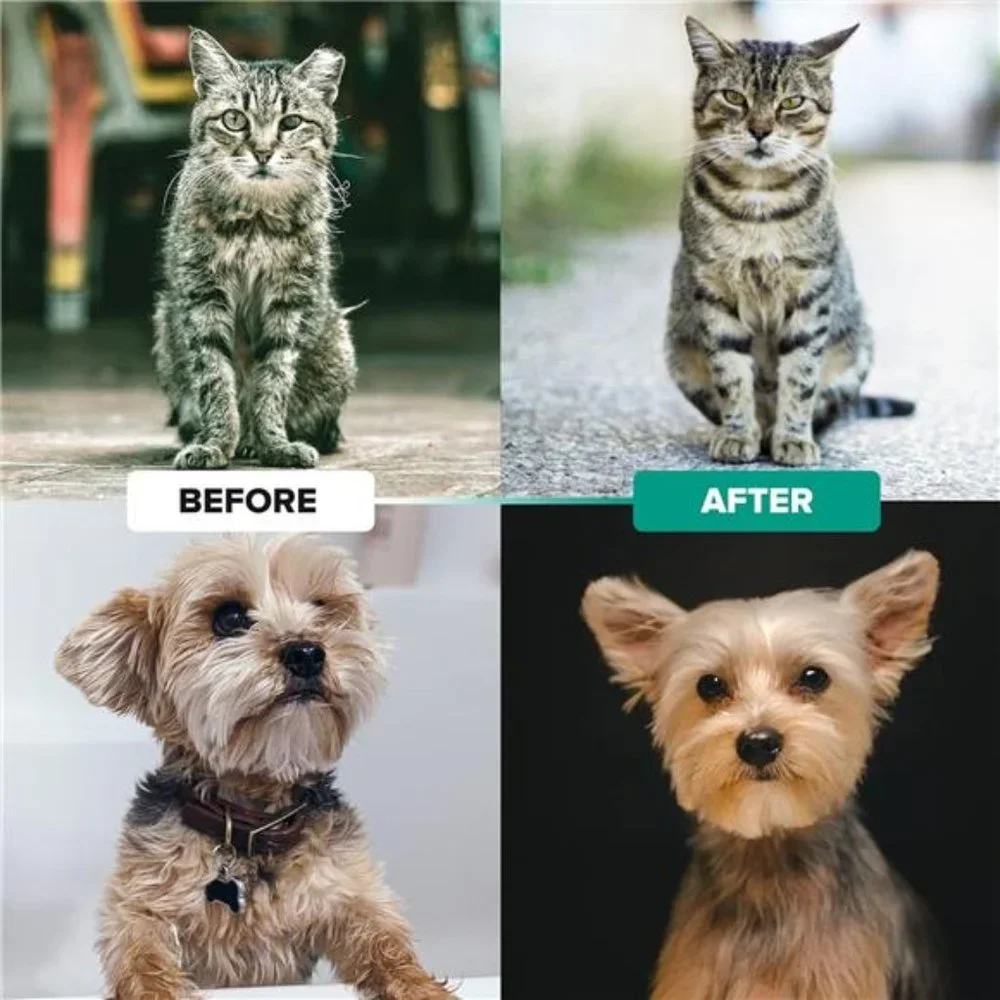 Say Goodbye to Shedding with Professional Double-Sided Undercoat Rake Dog Brush